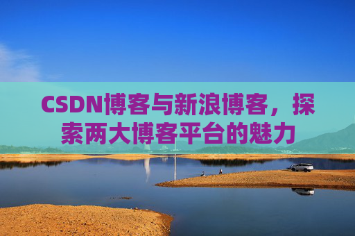 CSDN博客与新浪博客,探索两大博客平台的魅力